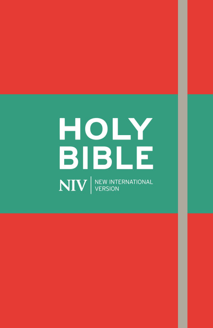 NIV Thinline Bible S/T Red